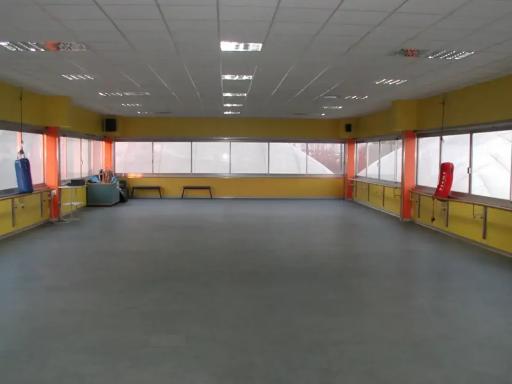 Palestra